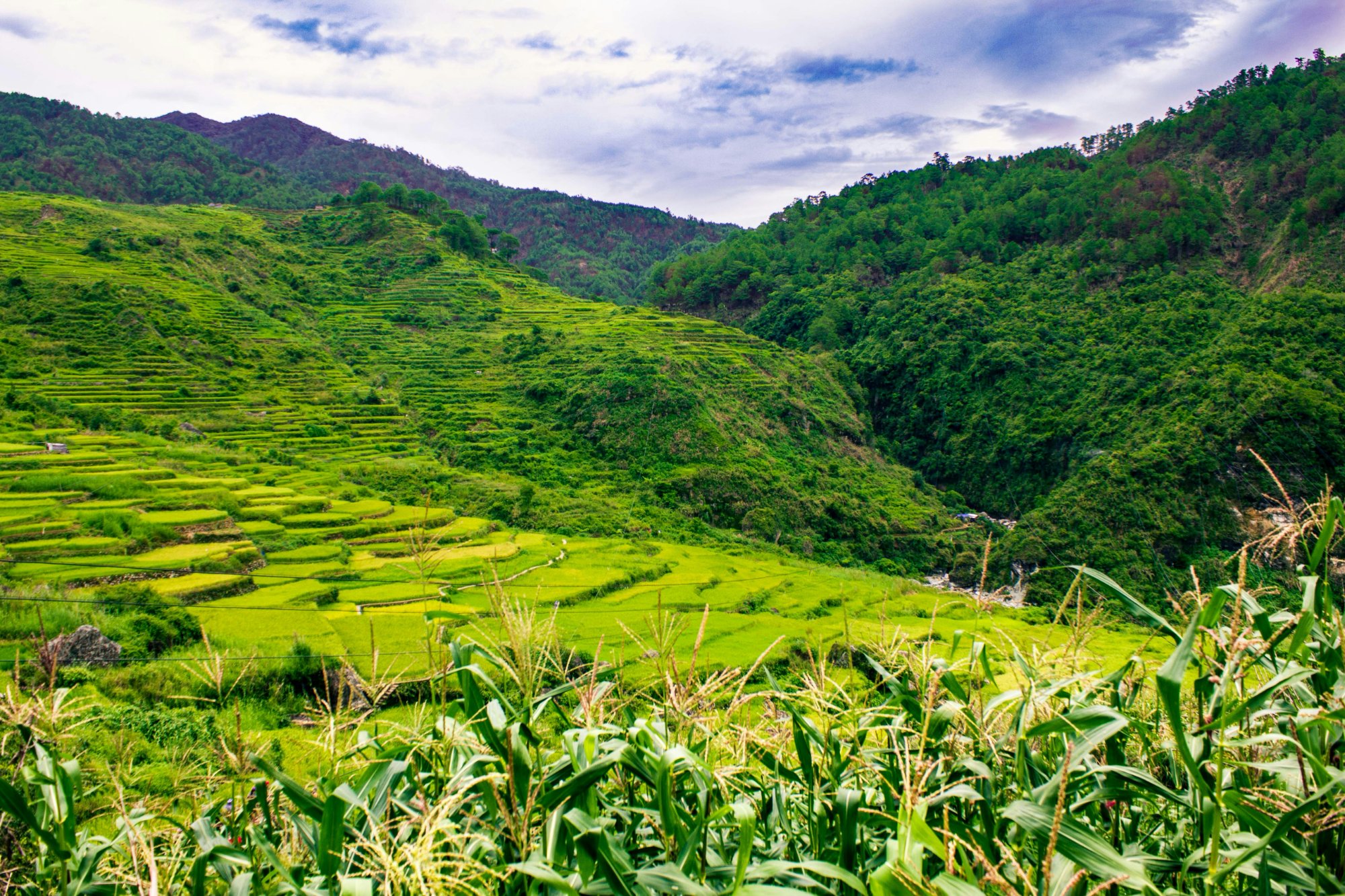 Cordillera rice terraces Northern Luzon Philippines private guided tour