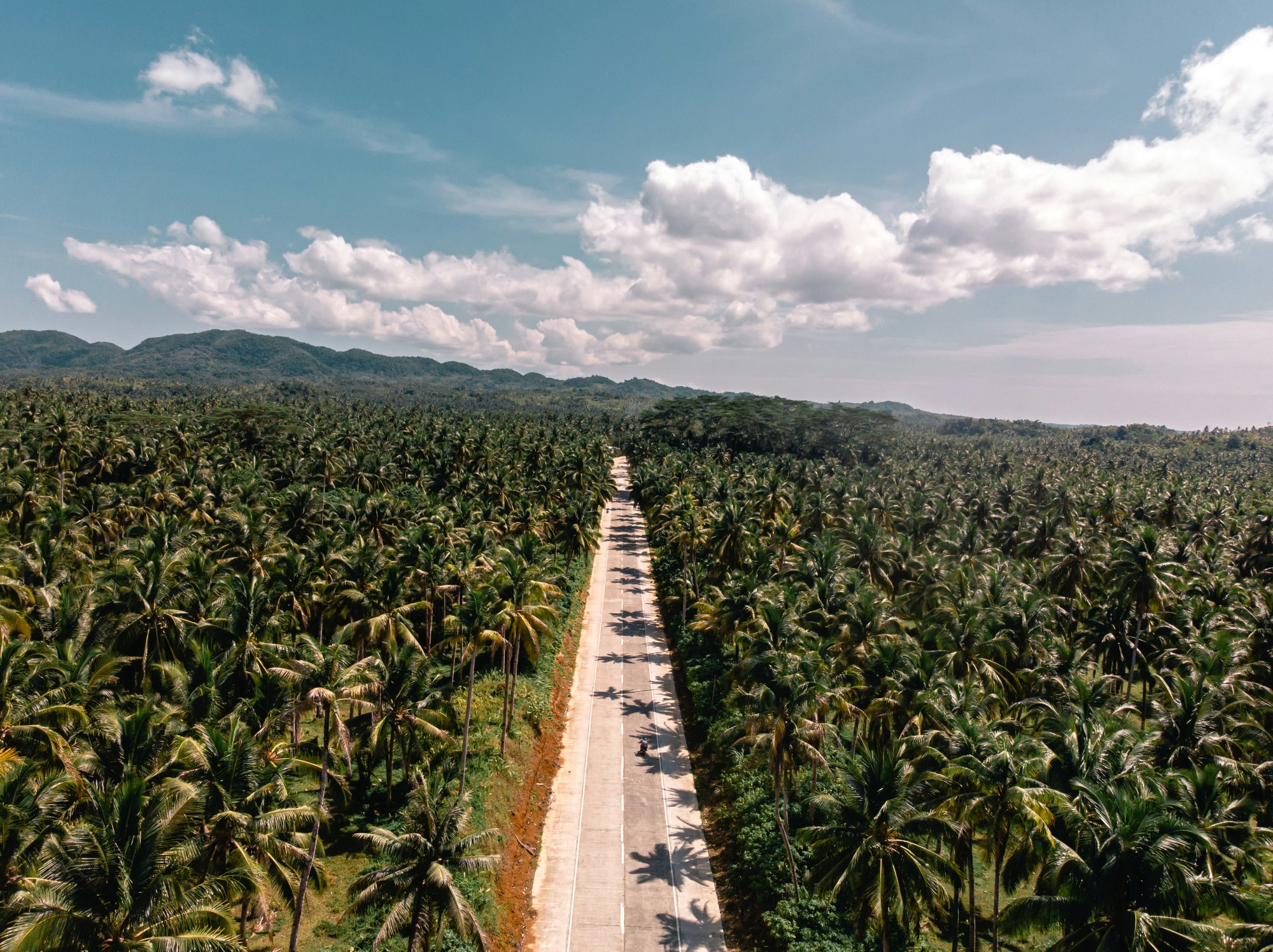 Siargao palm road aerial view private tour Philippines
