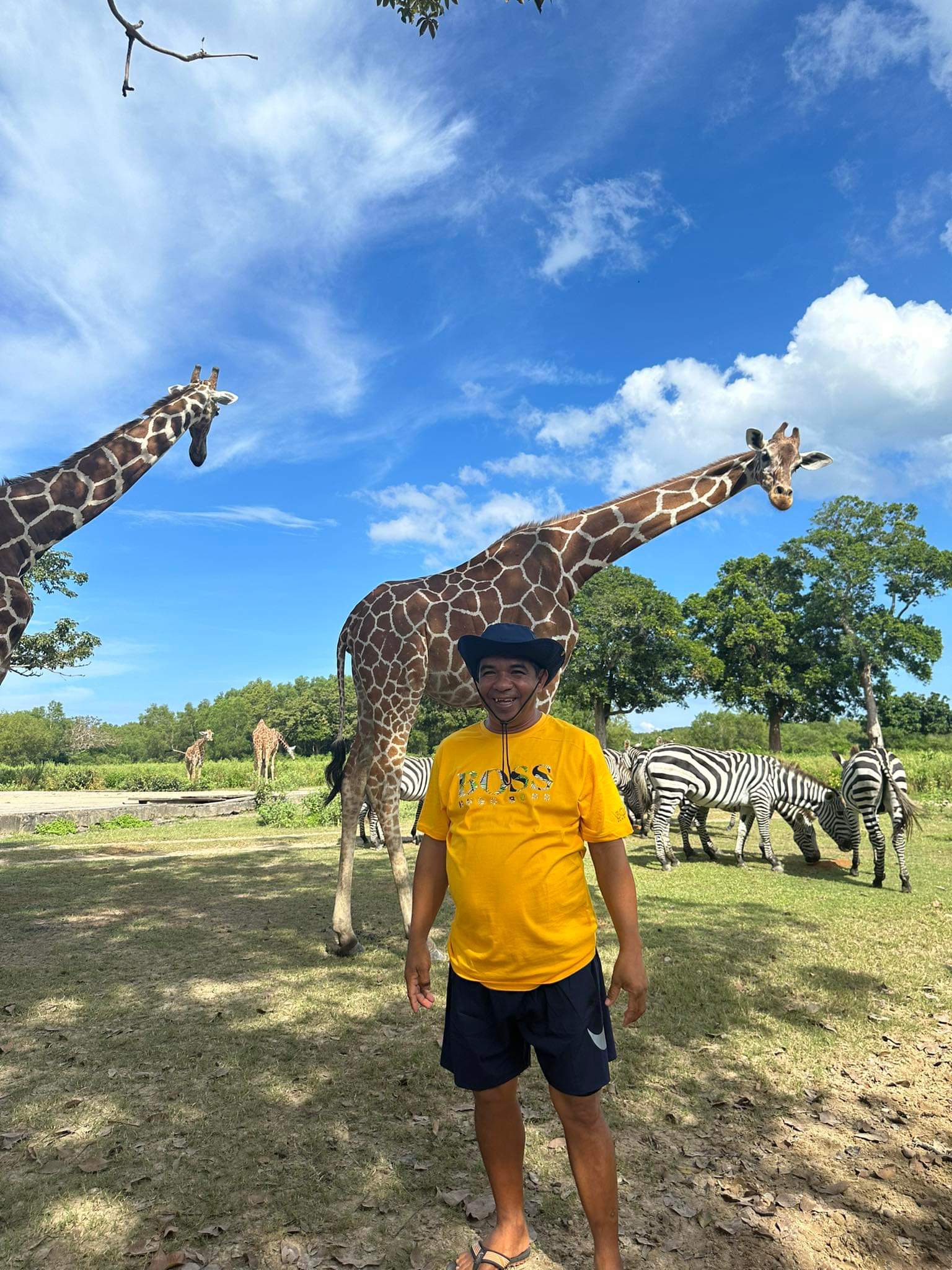 Calauit Safari Park, Busuanga Island — giraffes and zebras roaming freely on Coron's overland day trip