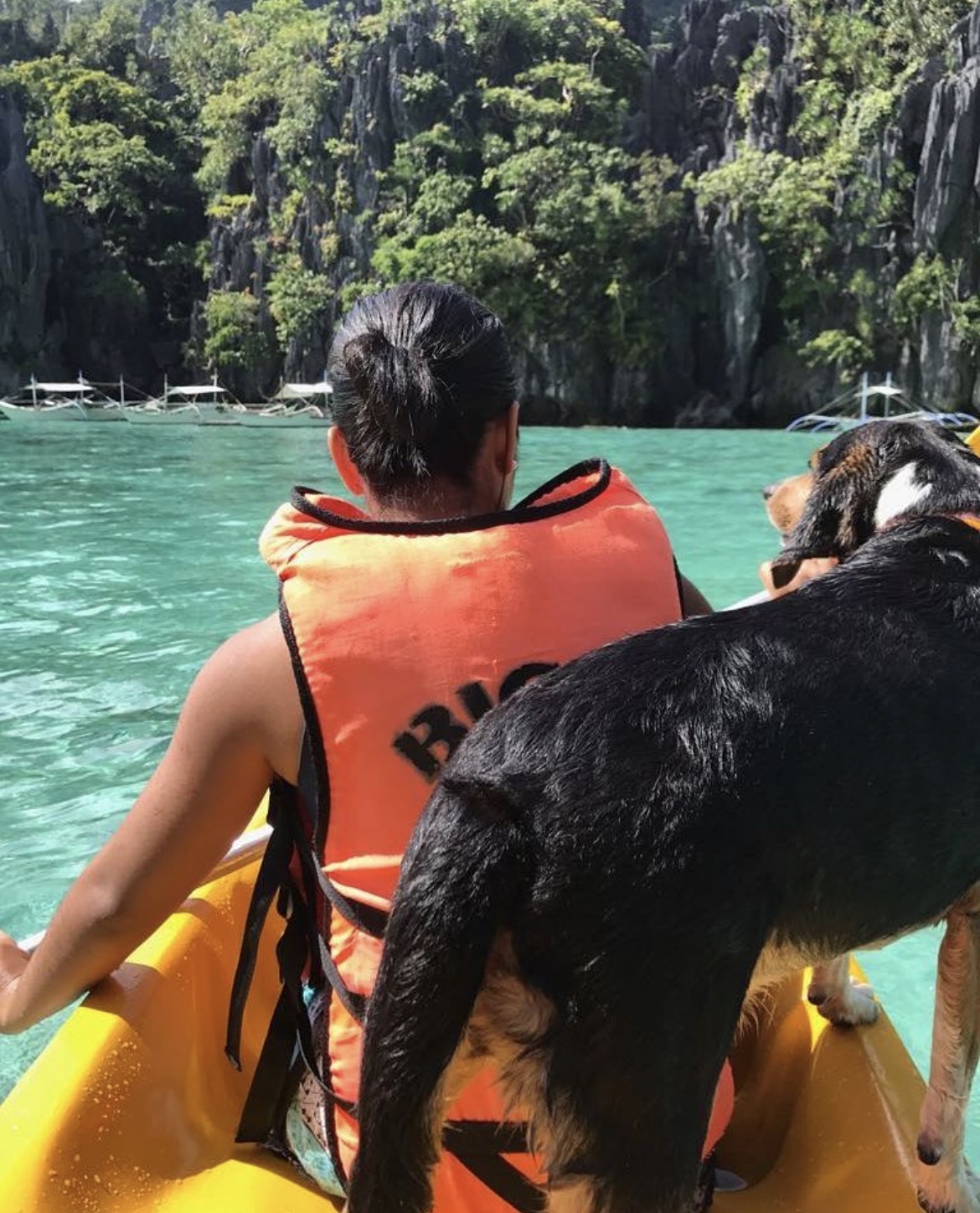 Looking out across El Nido's turquoise lagoon from a kayak — limestone karsts ahead, dog on the bow